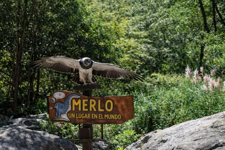 reserva florofaunistica 3